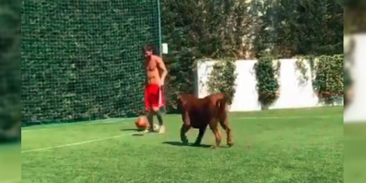 El vídeo de Lionel Messi y su perro que causa furor en redes sociales