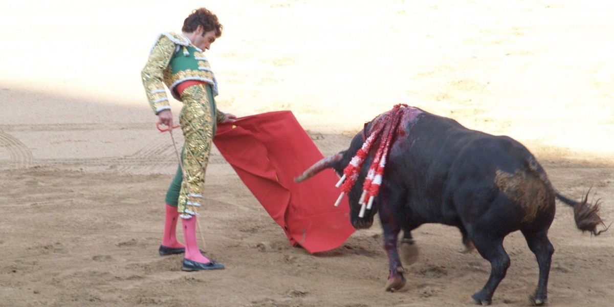 Corte Constitucional despenalizó las corridas de toros