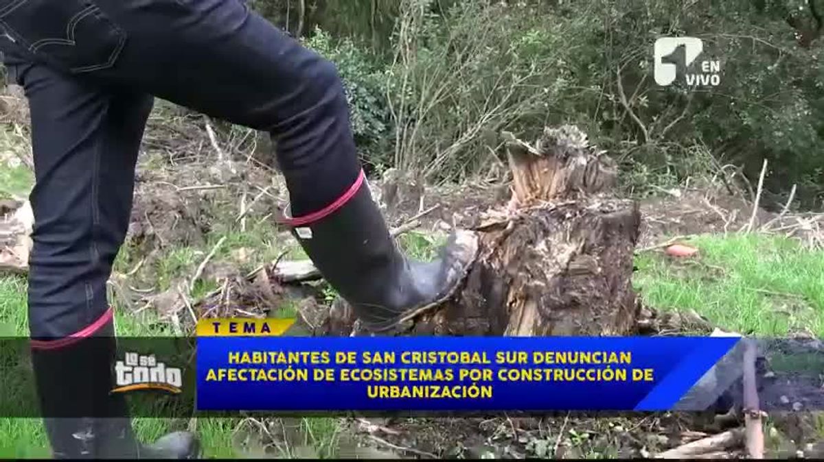 Denuncian tala indiscriminada de árboles en el sur de Bogotá