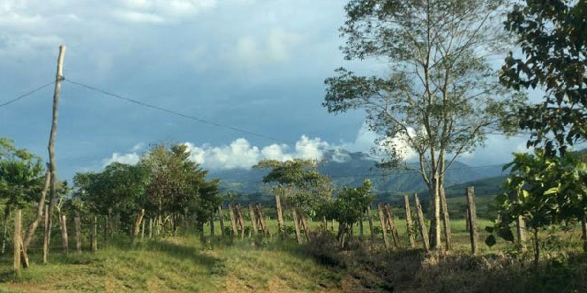 Proyectos productivos aún no llegan a Espacio Territorial en Antioquia