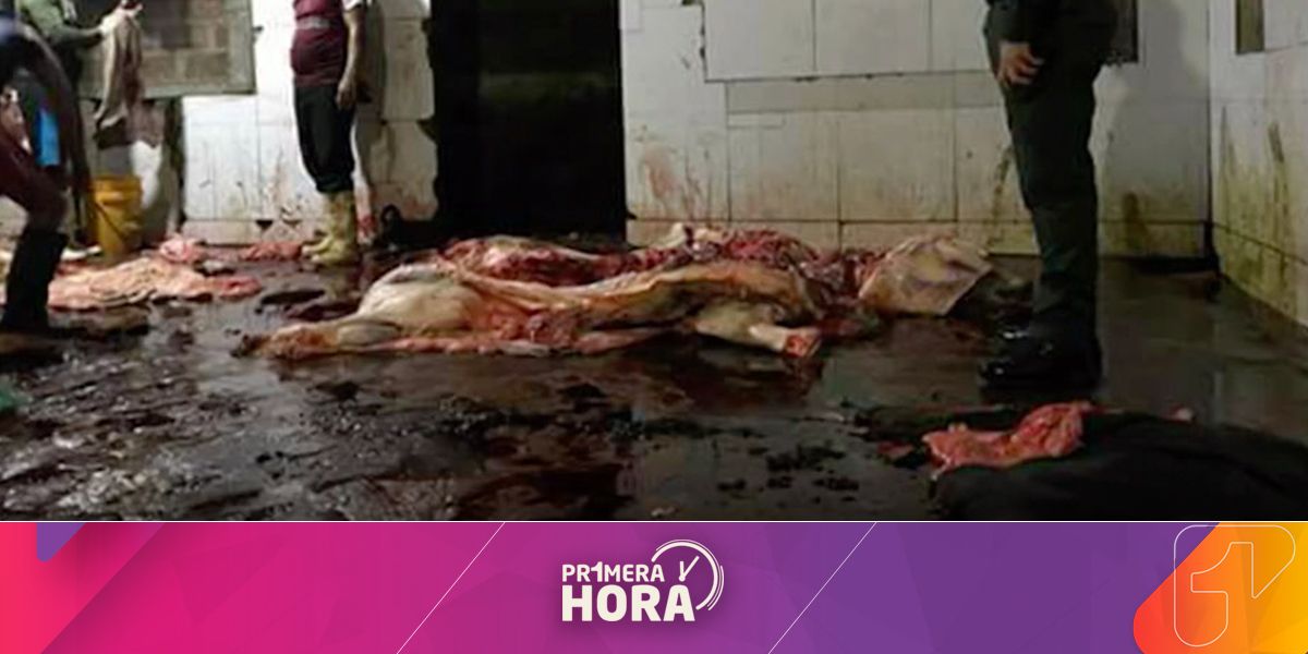 Alerta en Santa Marta por invasión de carne de contrabando