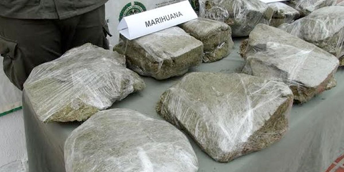 Incautan más de dos toneladas de marihuana que era transportada hacia Venezuela en Tolima