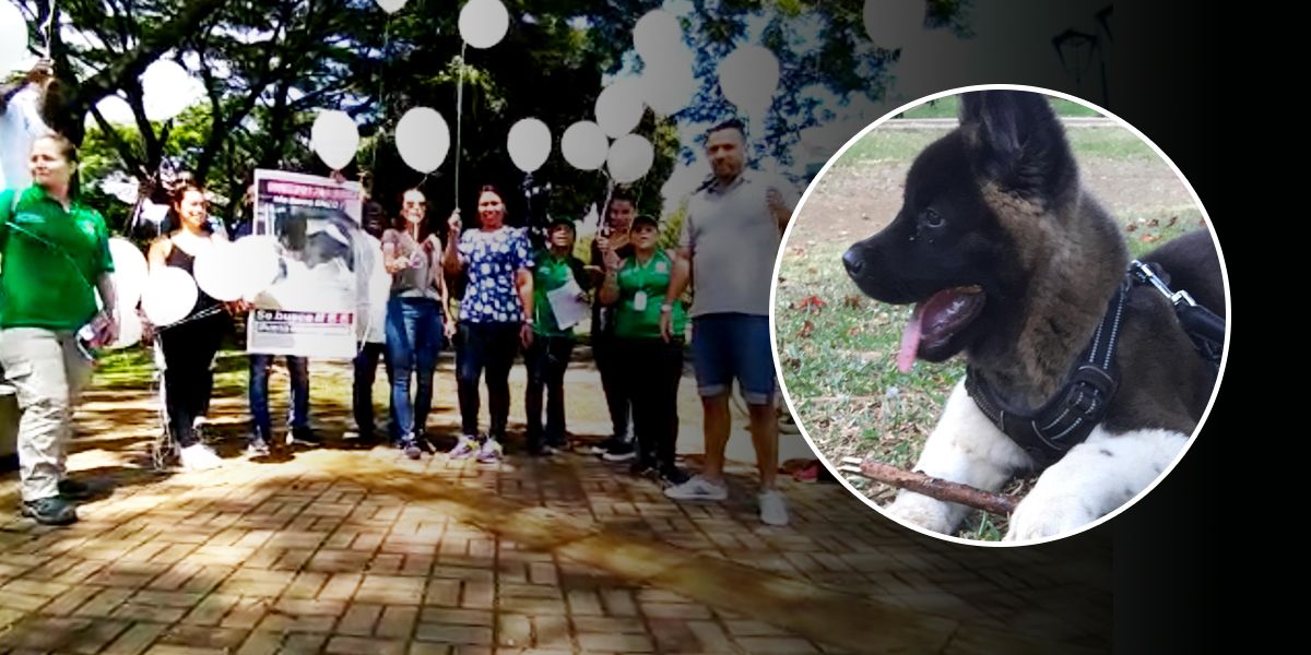 Grupo de personas pide liberación de Enzo, perro secuestrado en Cali