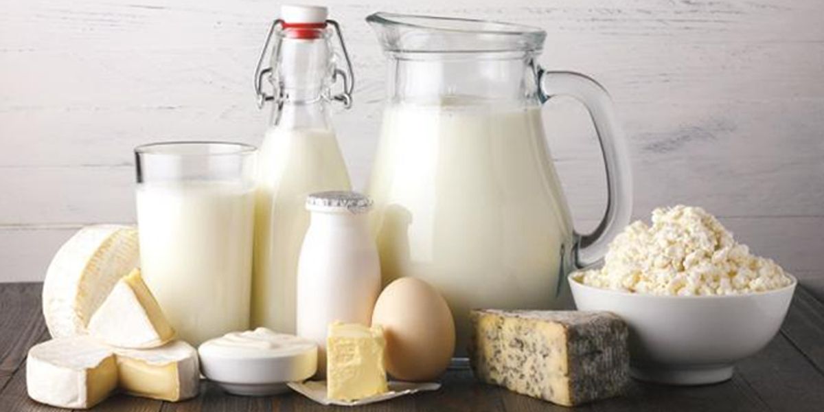 Ordenan al Ministerio de Salud expedir reglamentación para productos lácteos  