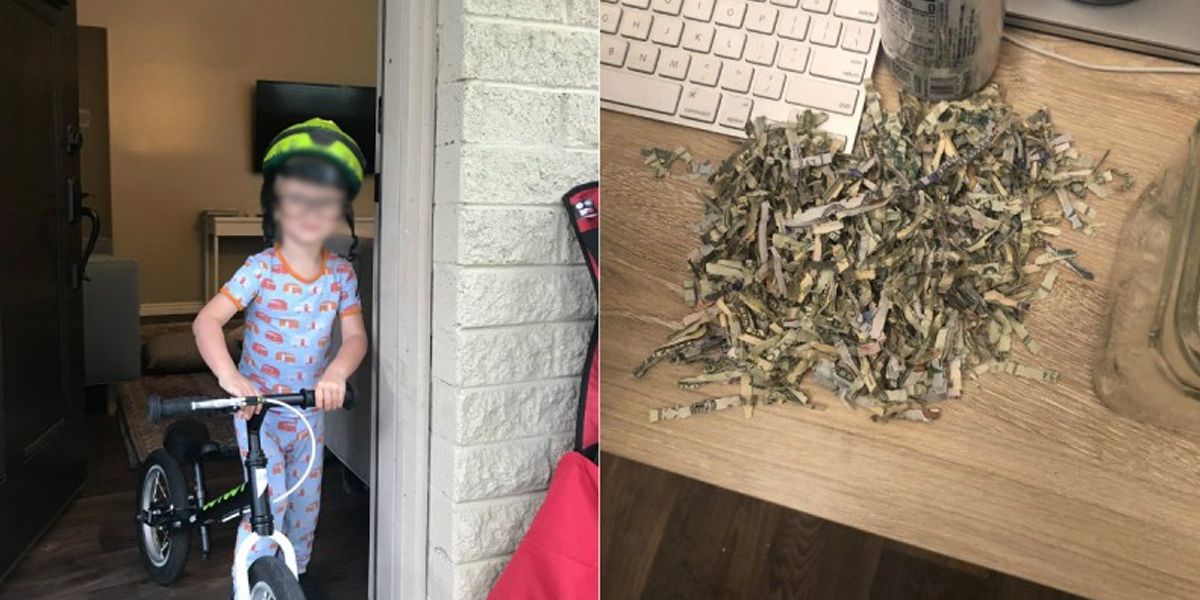 Un niño de dos años metió los ahorros de su padre a la trituradora