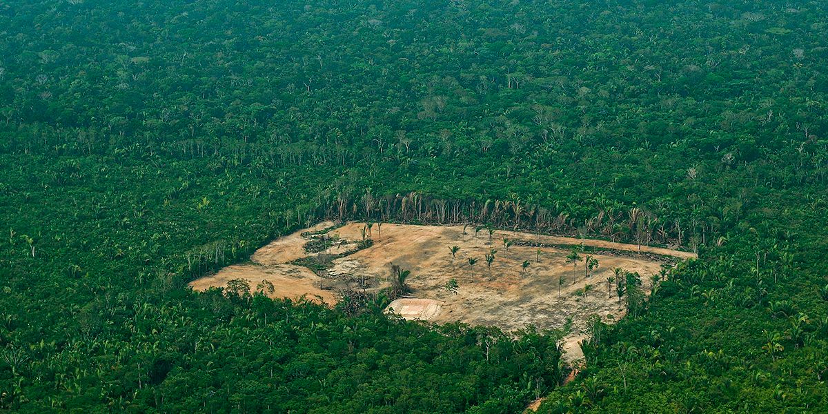 Deforestación de la selva amazónica se duplicó en el 2017 en Colombia