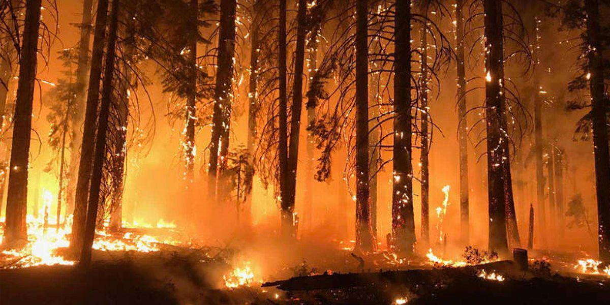 Incendio en California ha dejado al menos 81 muertos y 18.000 estructuras calcinadas