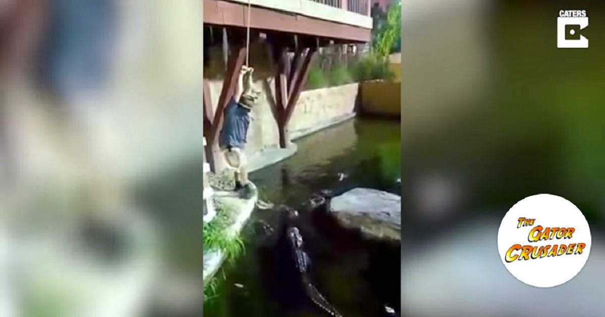 Una cuerda se rompió en pleno show y un hombre cayó a lago lleno de caimanes