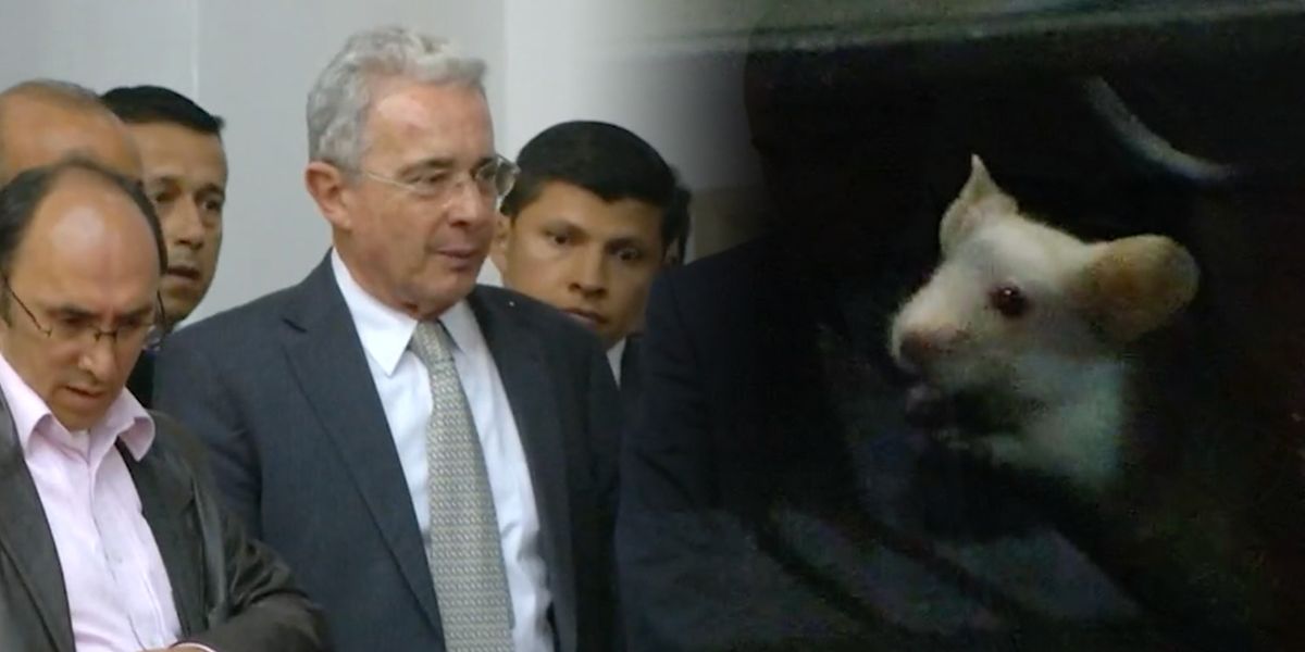 “Nos dijeron que era brujería”: senador Uribe sobre el acto de los ratones en el Congreso