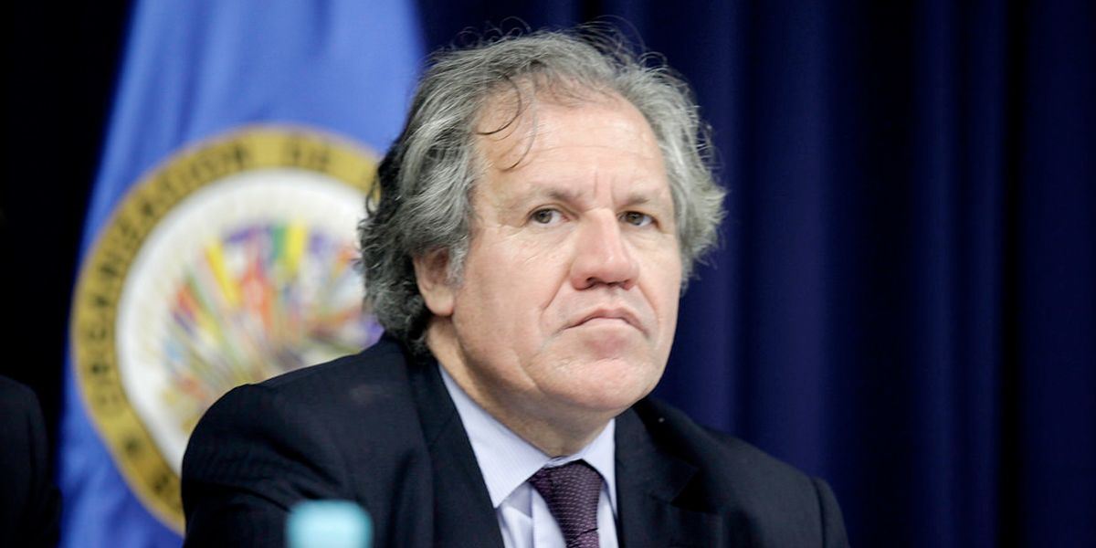 Almagro presentará reelección en 2020 como secretario general de la OEA