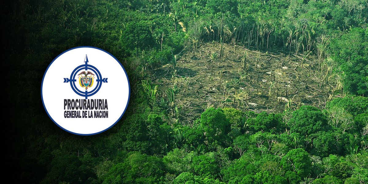 Exigen al Gobierno una política pública para enfrentar deforestación de la Amazonía
