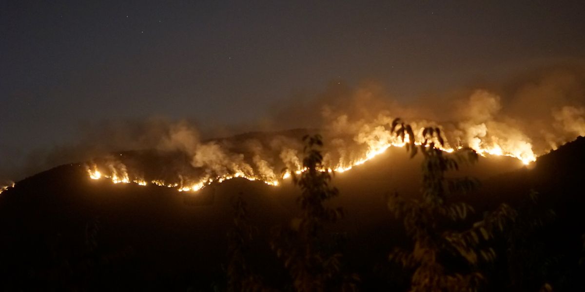 Desde diciembre se han registrado 170 incendios forestales