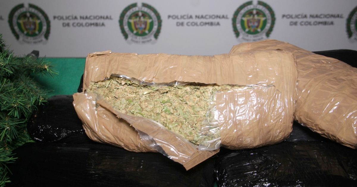 Policía incauta 5 kilos de marihuana ocultos en cajas de árboles de navidad