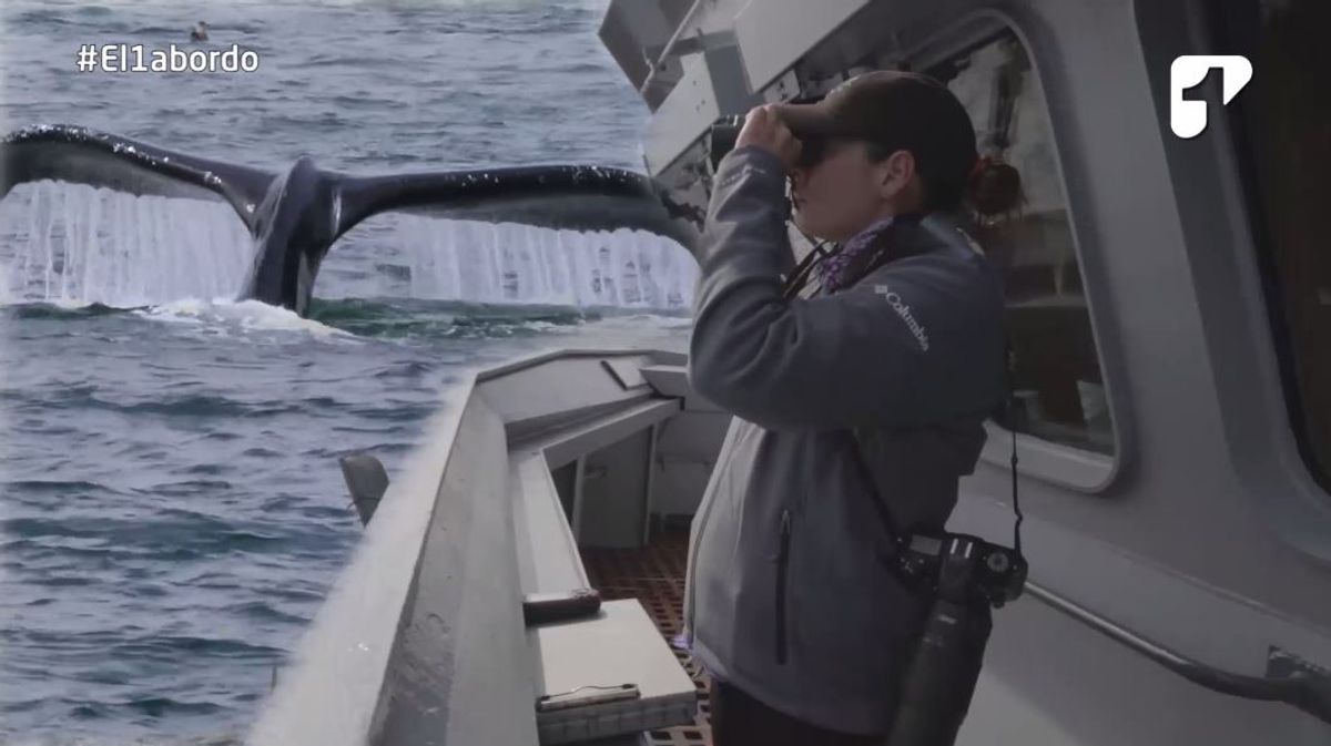 natalia botero biologa marina expedicion antartida ballenas jorobadas