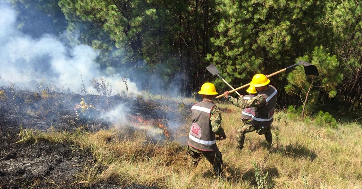 Incendio en cerro Quitasol de Bello, Antioquia, ha consumido 40 hectáreas de bosque