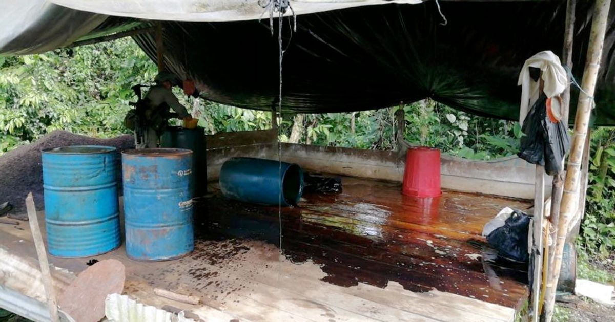 Policía destruye laboratorio de coca y estupefacientes en Cauca y Nariño