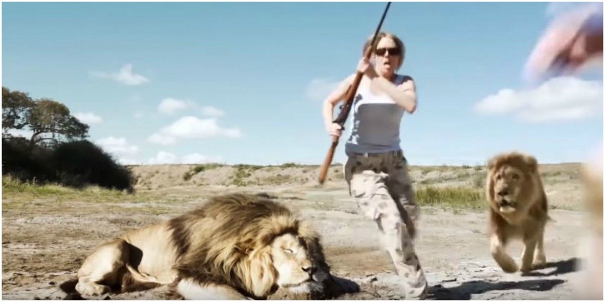 verdadera historia leon se come cazadores video viral