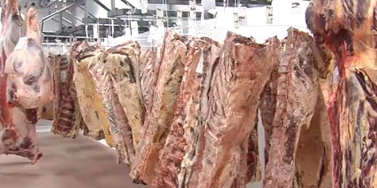 Alerta sanitaria en Europa por venta de carne contaminada procedente de Polonia