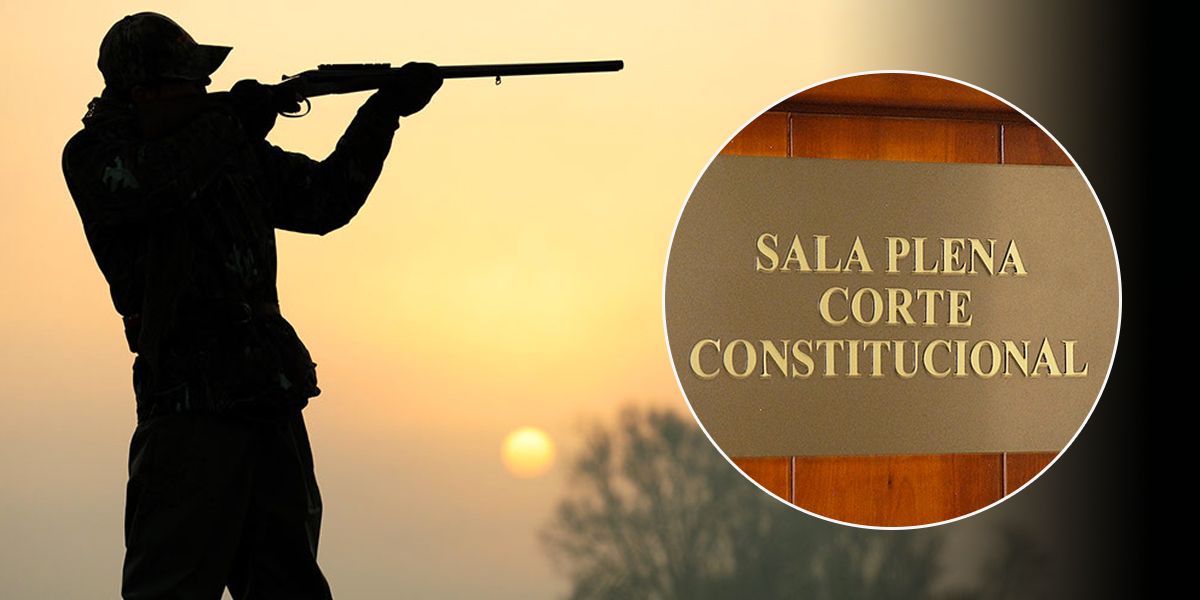 Corte Constitucional prohíbe la caza deportiva