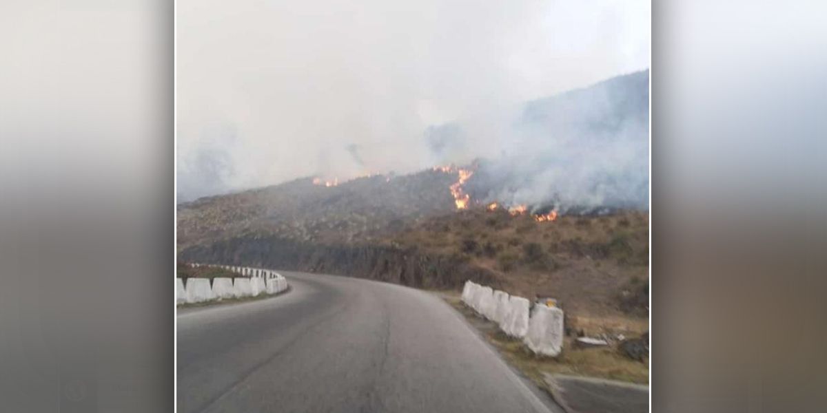 800 hectáreas afectadas tras incendio forestal en Sierra Nevada de Santa Marta
