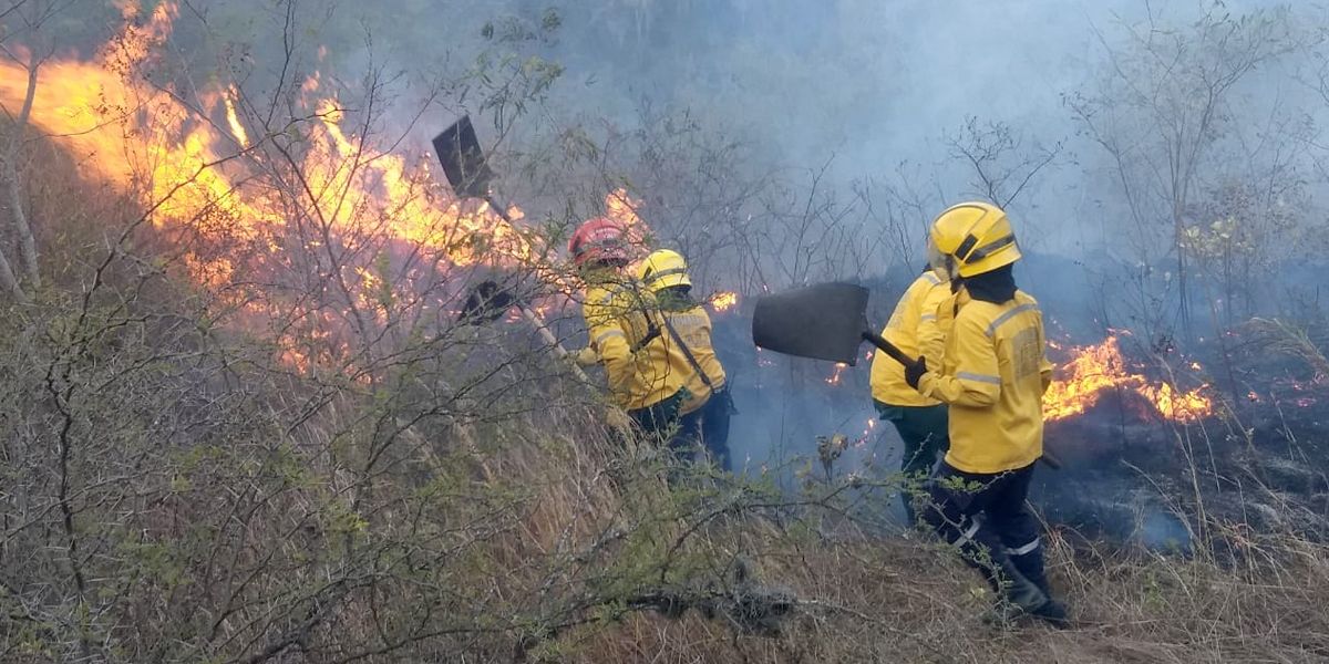 Tras 48 horas, bomberos intentan controlar gigantesco incendio forestal en Cali