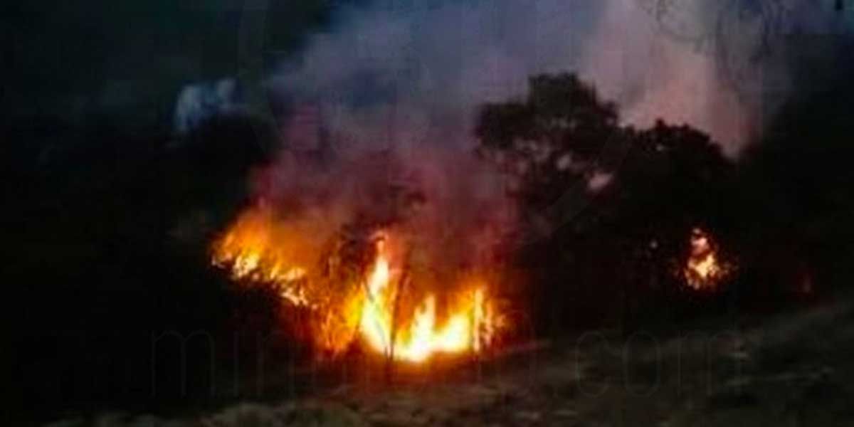 24 horas completa incendio forestal en zona rural de González, Cesar