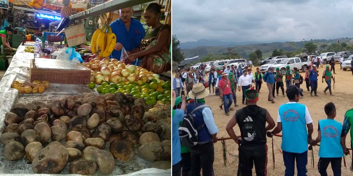 Incrementan precios de alimentos en el Valle por bloqueos en la vía Panamericana