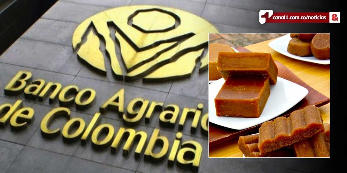 Tras crisis en el sector, Banco Agrario prorrogará créditos a paneleros