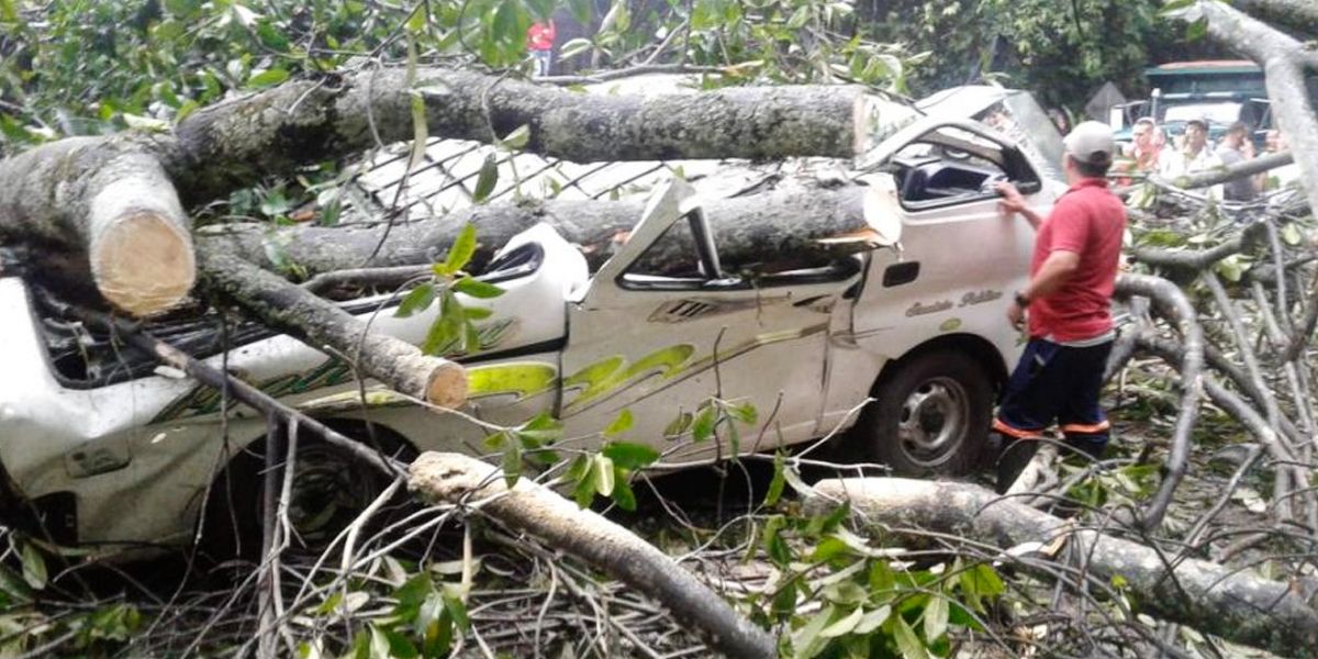 Caída de árbol en carretera de Norte de Santander deja cinco personas muertas