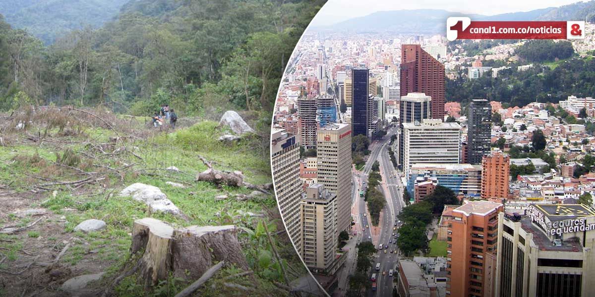 Inicia en Bogotá reunión mundial contra la deforestación