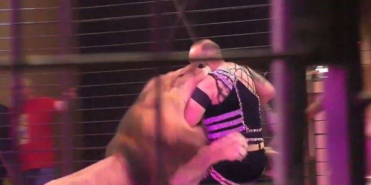 (Video) El aterrador momento en el que un león ataca a su entrenador de circo en pleno show