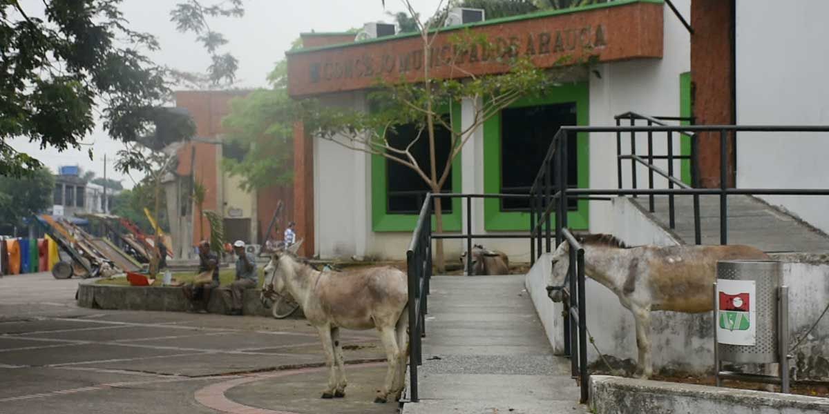 Transportadores que utilizan tracción animal protestan en Arauca