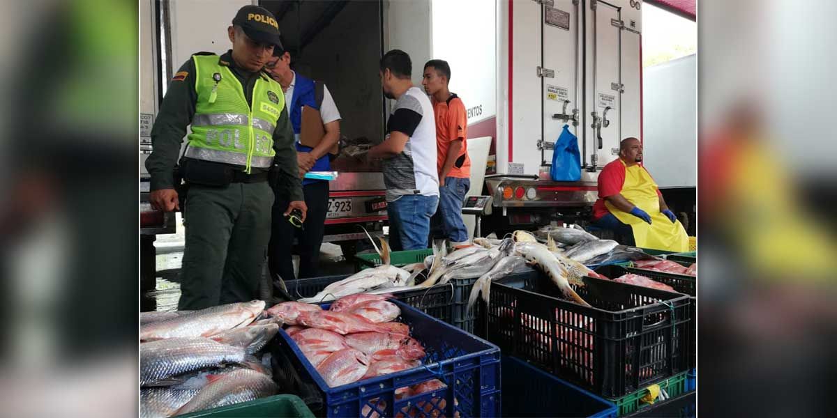 Inician controles a venta de pescado en Neiva por Semana Santa