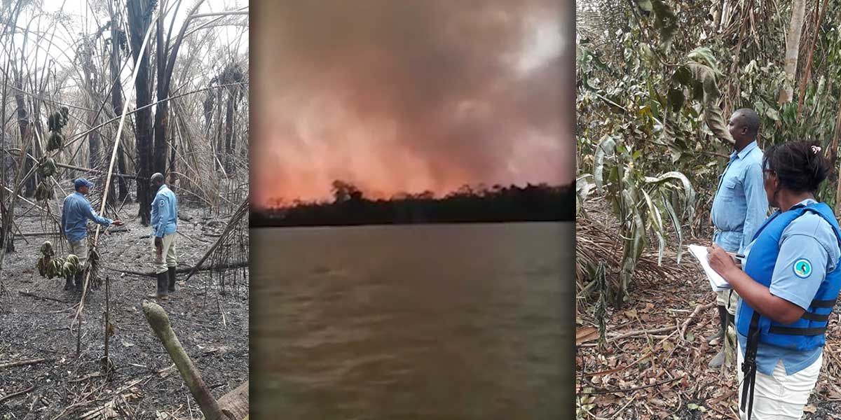 1788 hectáreas devastadas por incendio de gran magnitud en Parque Natural Los Katíos