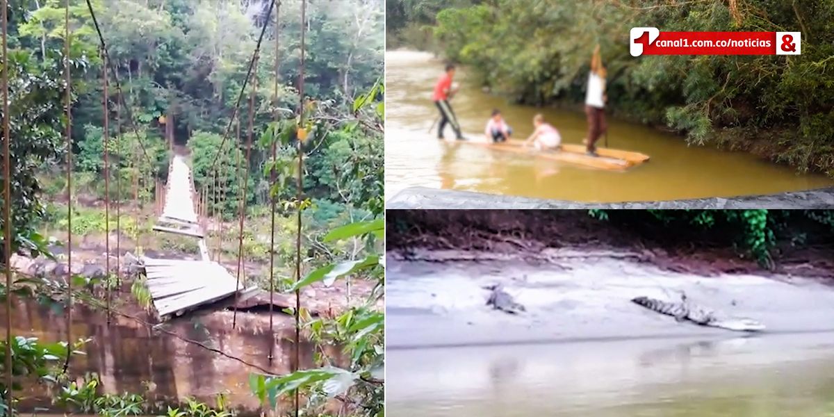 Corte protege derechos de niños que debían atravesar un río con caimanes