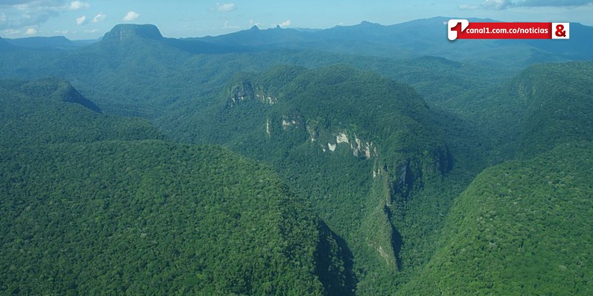 Proyecto busca restaurar y conservar áreas deforestadas en la Sierra de la Macarena  