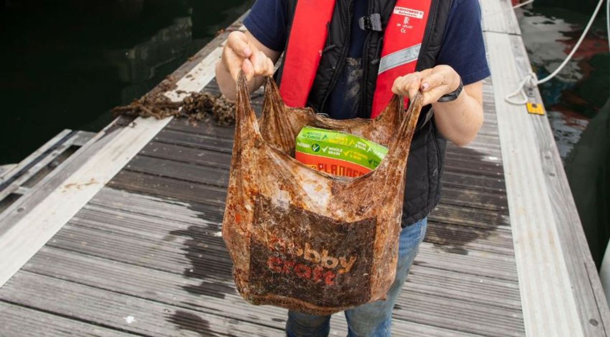 Científico comprobó que bolsas biodegradables no se degradan realmente