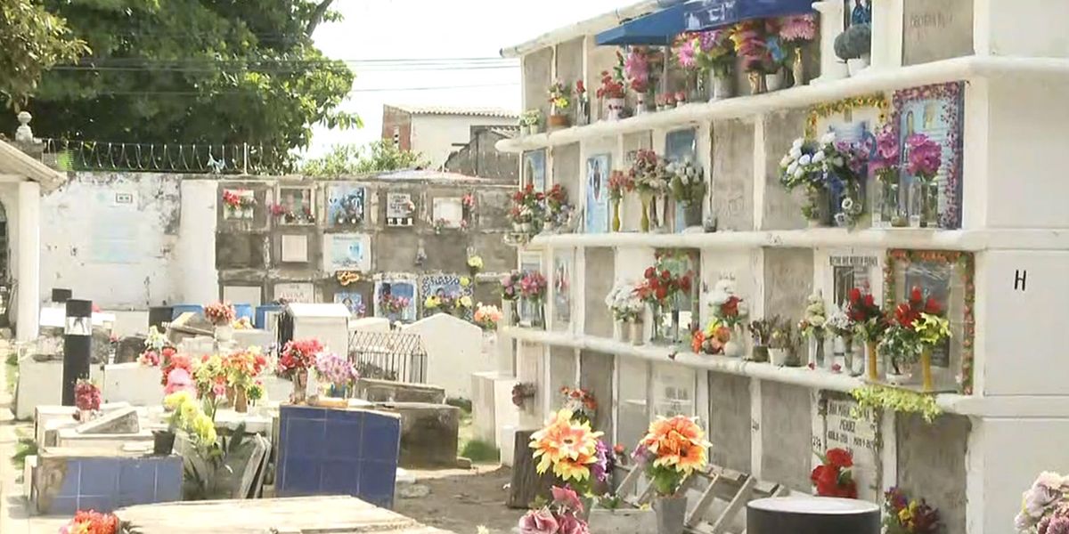 Alcaldía deberá mejorar condiciones de cementerios de Cartagena