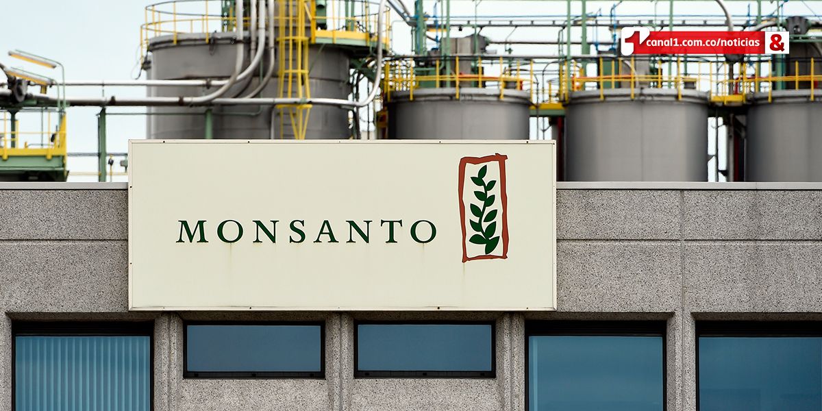 Monsanto creó listas en siete países de personas críticas, según Bayer