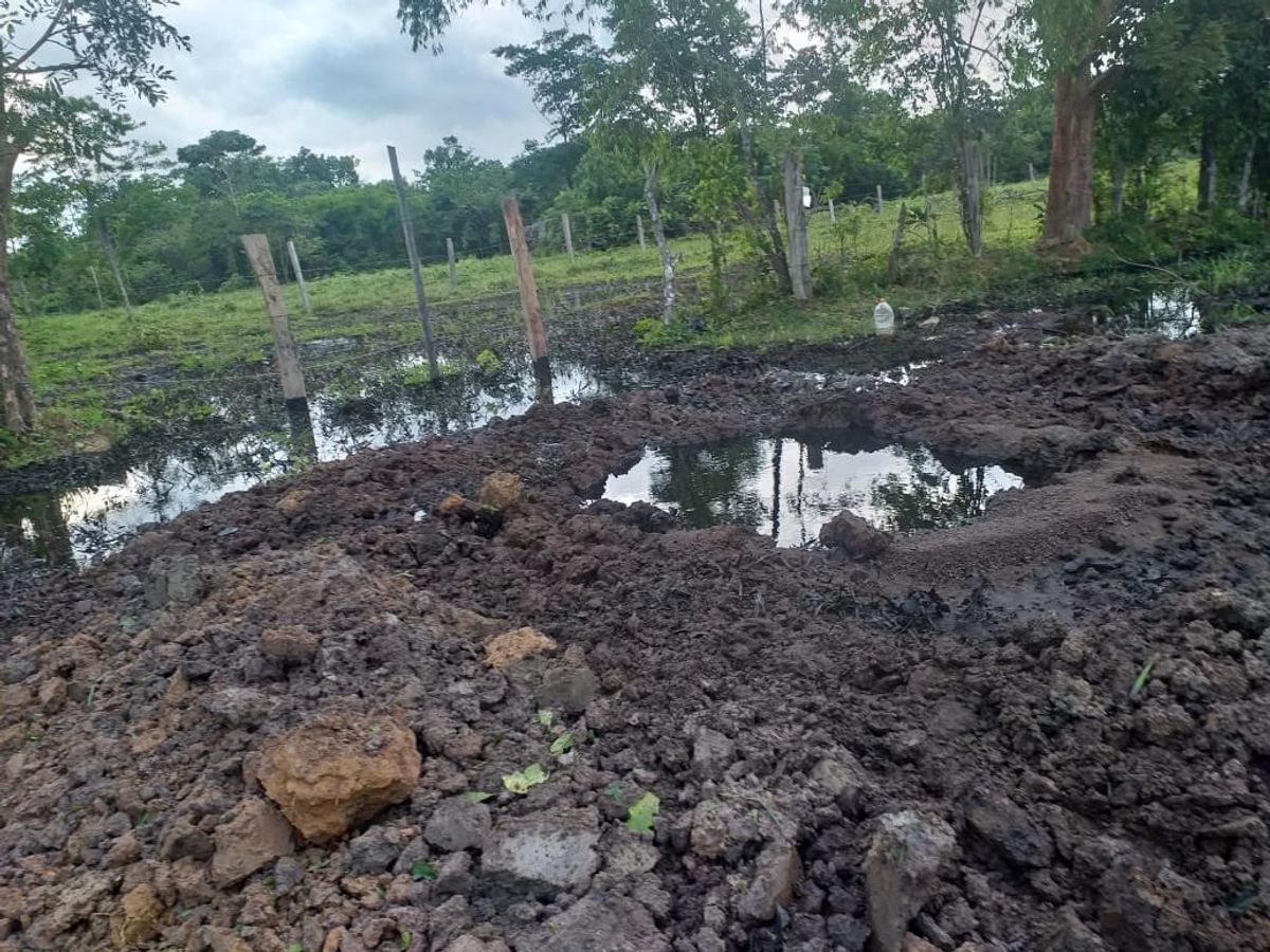 Nuevo atentado contra oleoducto Caño Limón-Coveñas en Arauca