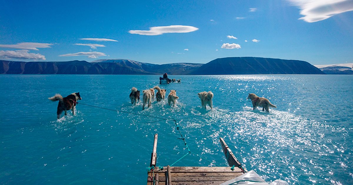 El drama del deshielo de Groenlandia en una imagen que le da la vuelta al mundo