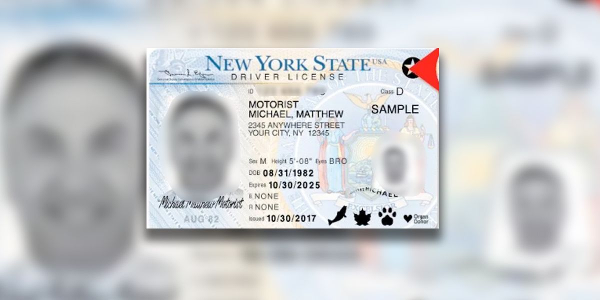 Nueva York dará primeras licencias de conducción a indocumentados en diciembre