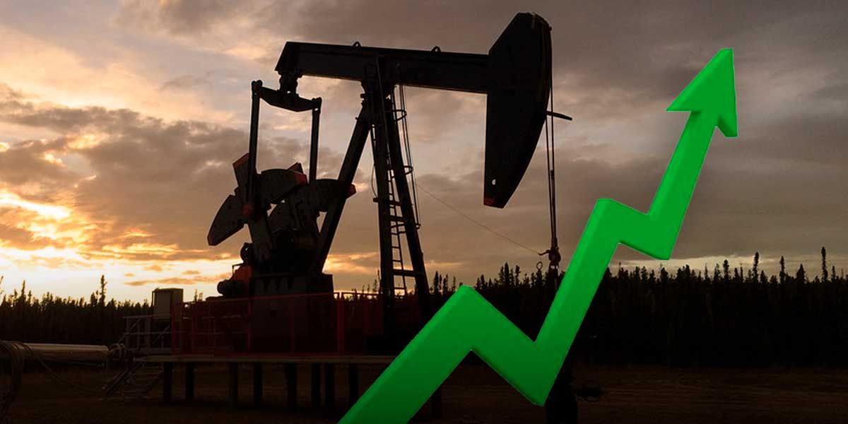 Producción de petróleo creció 3,3 % en mayo respecto al mismo mes de 2018  