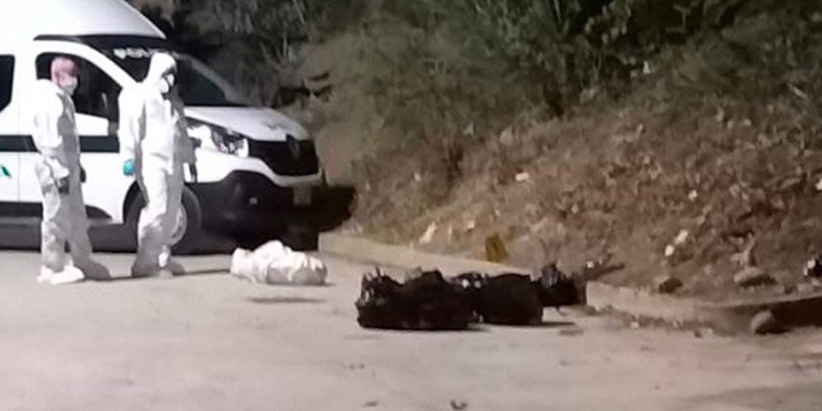 Hallan cadáver desmembrado envuelto en bolsas en Cúcuta