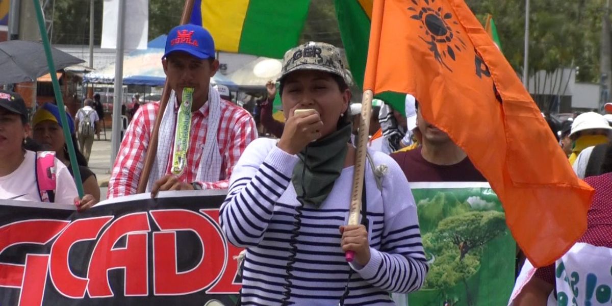 Indígenas, campesinos y reincorporados de Farc marcharon en Popayán
