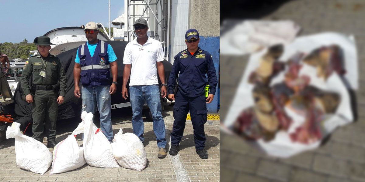 Armada de Colombia incauta pesca ilegal en la región Insular