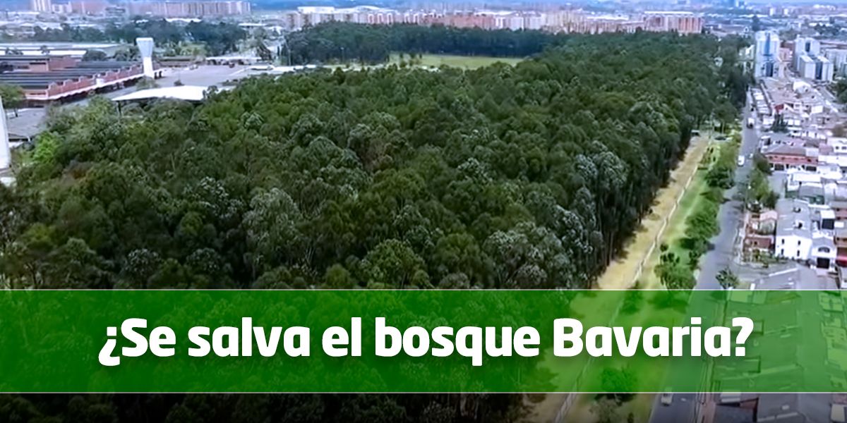 Ordenan suspender  tala de árboles en el bosque de Bavaria en Bogotá