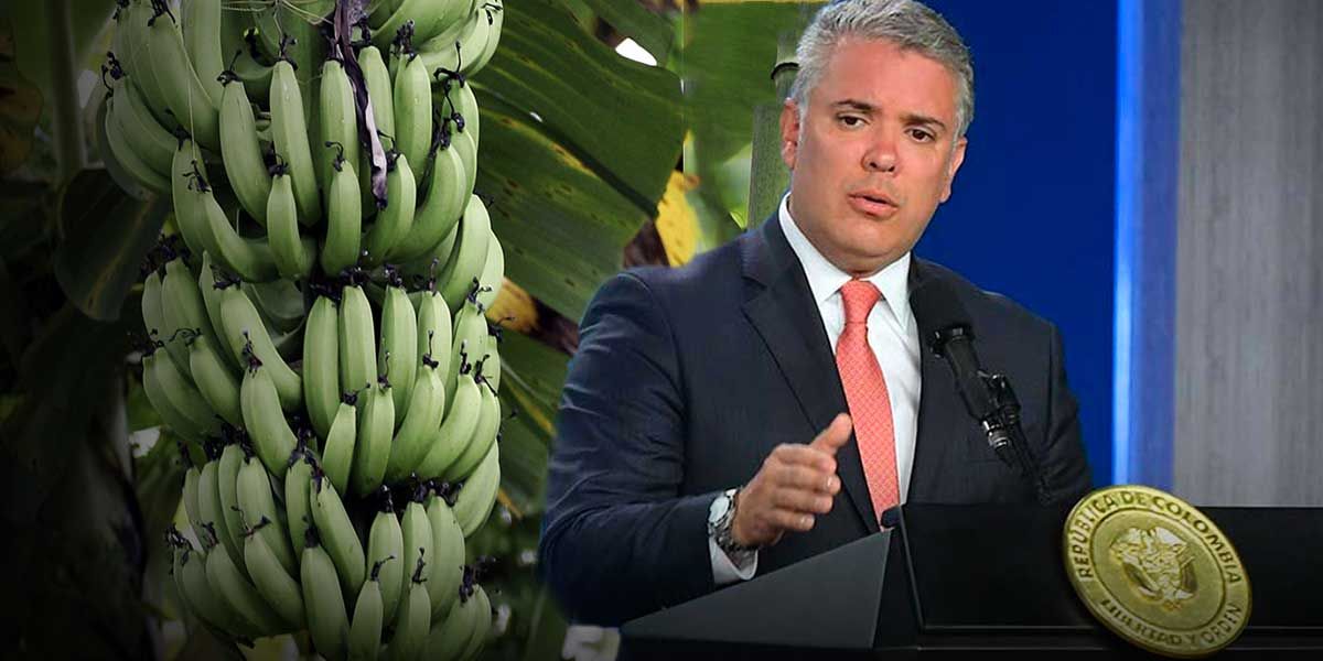 Colombia concreta venta de banano a China: cuatro millones de cajas al año