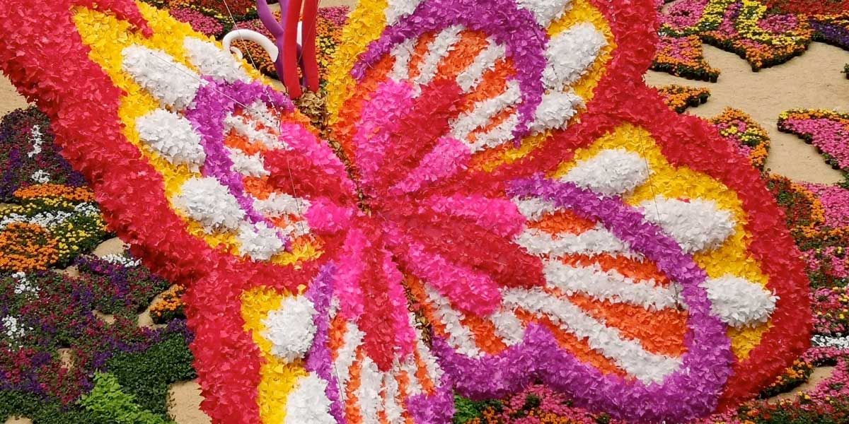 Un tapiz con 189.000 flores y mariposas en vuelo pinta de colores a Medellín