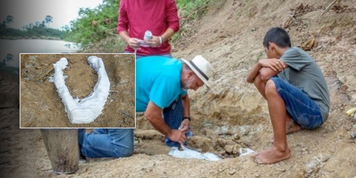 Niño descubre mandíbula de cocodrilo prehistórico en Amazonía brasileña